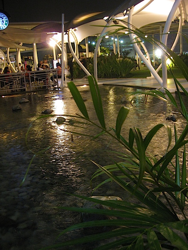 pond at SM North EDSA mall's Sky Garden
