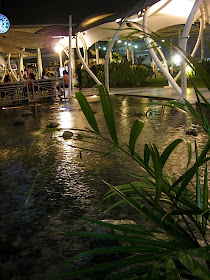 pond at SM North EDSA mall's Sky Garden