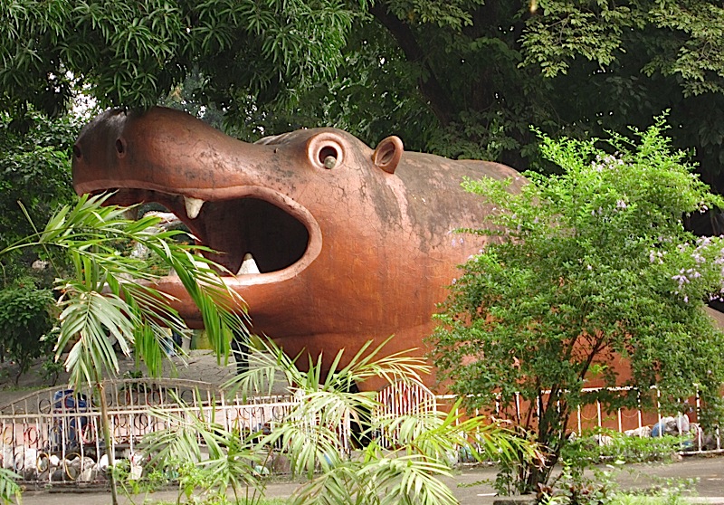 hippo playhouse in the Rizal Park's children's playground