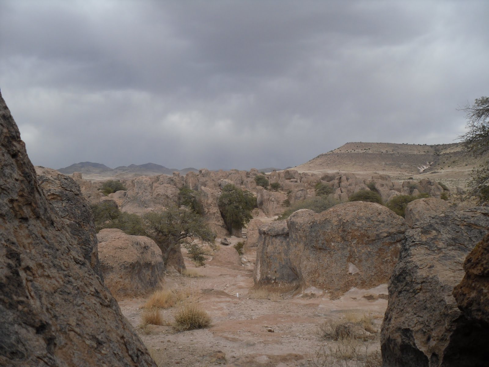 Scott's Twisted Travels: City of Rocks, New Mexico