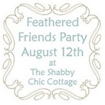 feathered-friends-party