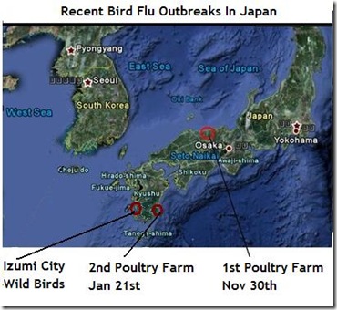 Bird Flu Japan