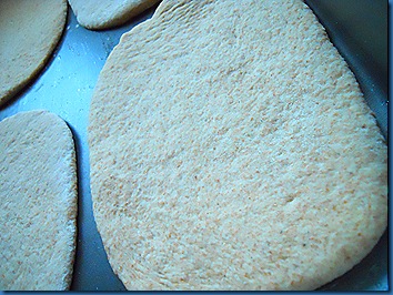 DSCN1006 DSCN1006
