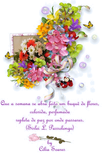SIRLEI%20SEMANA%20FLORES%20CSOARES%20FEV
