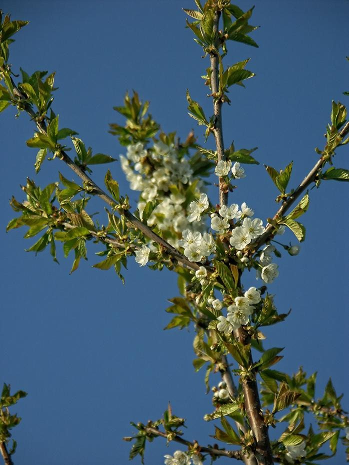 [PICT1225_re[2].jpg]