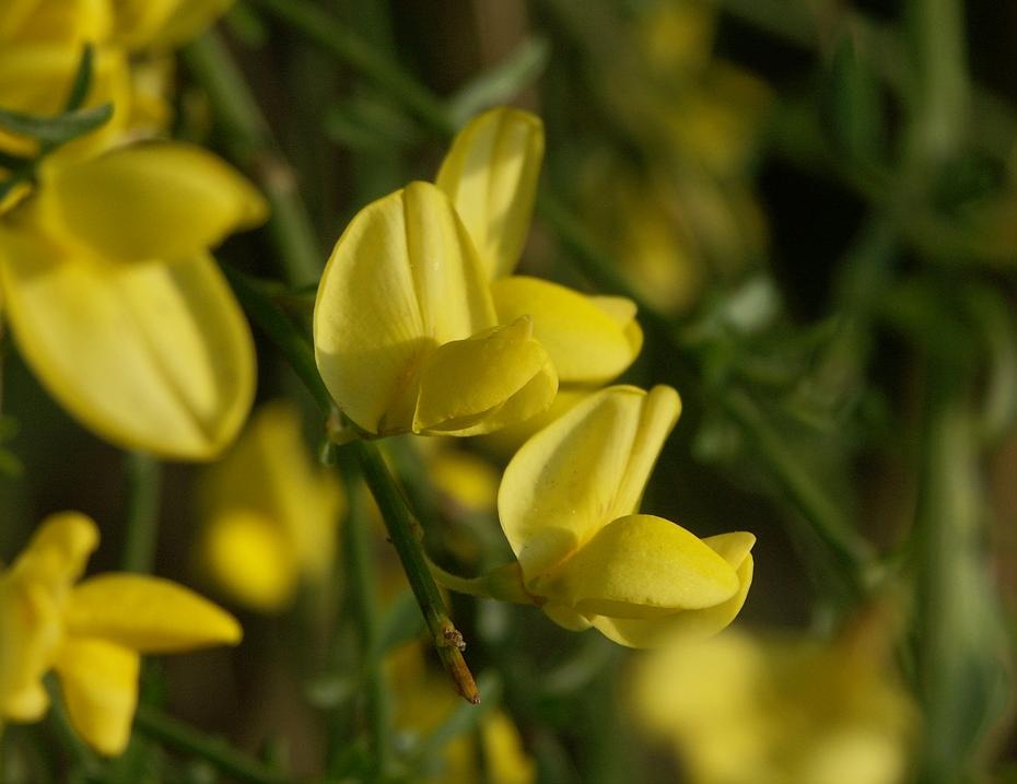 [PICT0224_re[2].jpg]