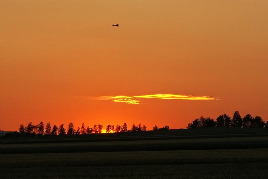 [PICT0446_re[2].jpg]