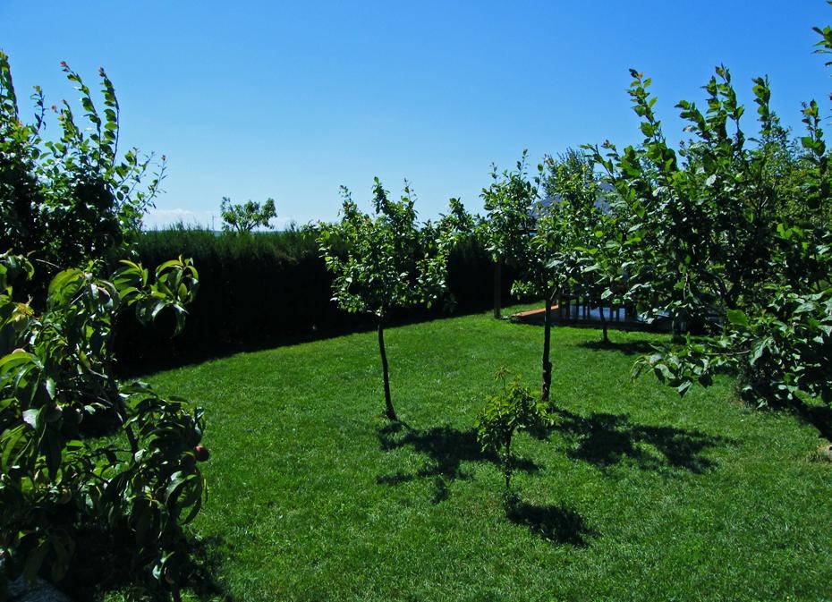 [DSCF5164_re[2].jpg]