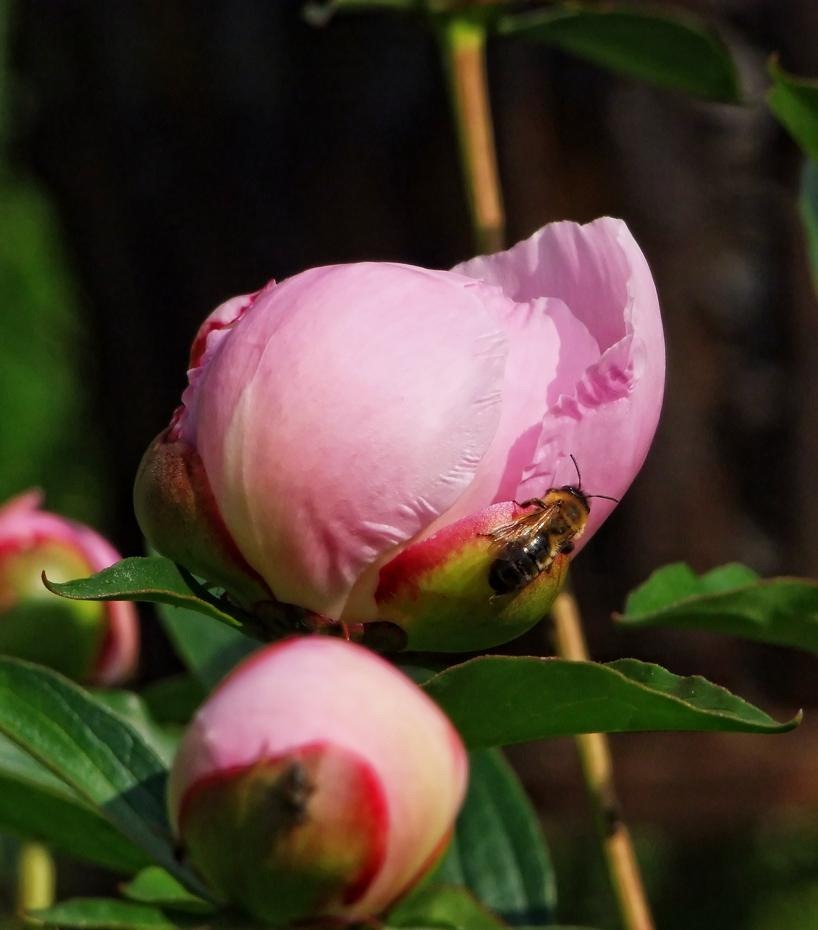 [DSCF7248_re[2].jpg]