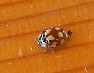 [PICT1565_re[2].jpg]