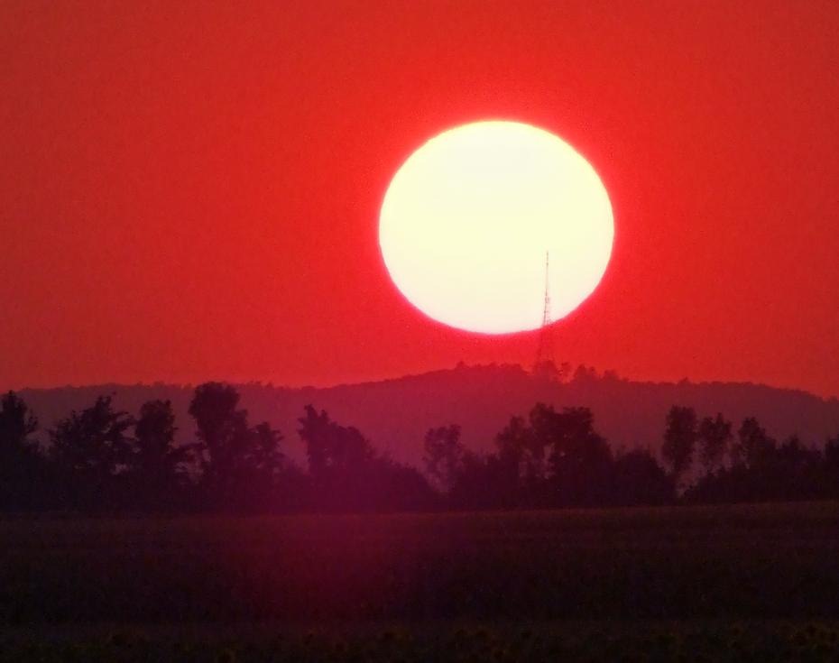 [DSCF8230_re[2].jpg]