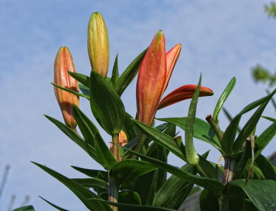 [DSCF2705_re[2].jpg]