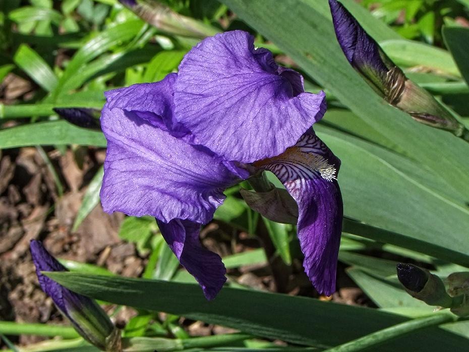 [DSCF2810_re[2].jpg]