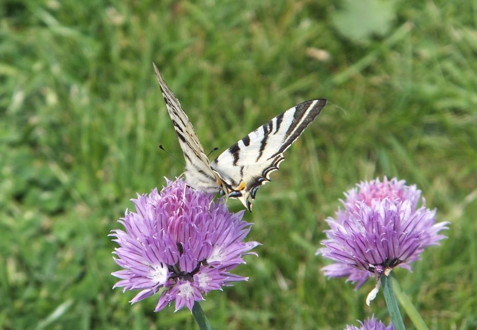 [DSCF0031_re[2].jpg]