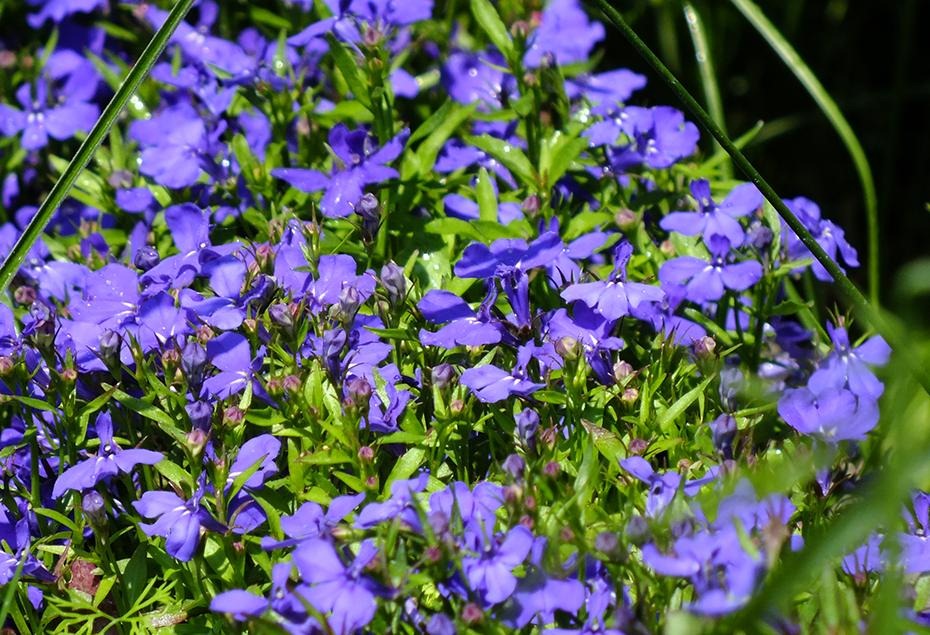 [DSCF0108_re[2].jpg]