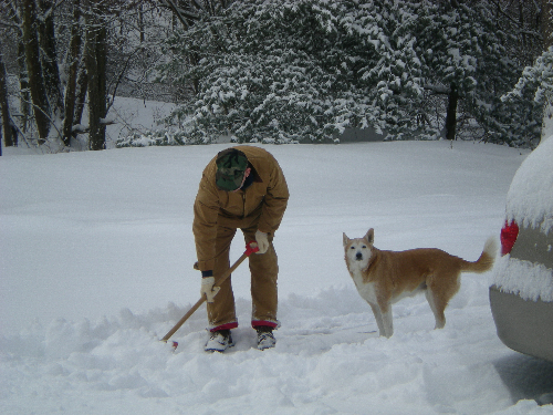 [bob and daisy shoveling snow[3].png]