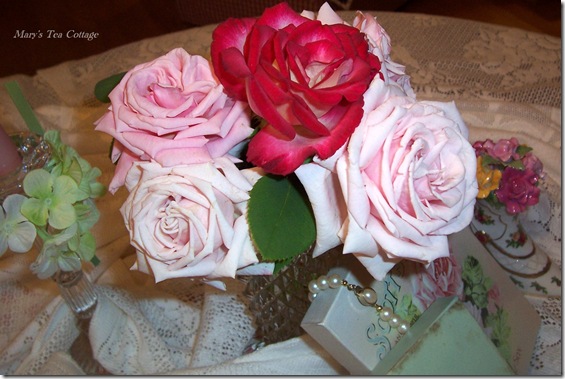 pink roses 3