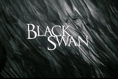 black_swan_wide (1)