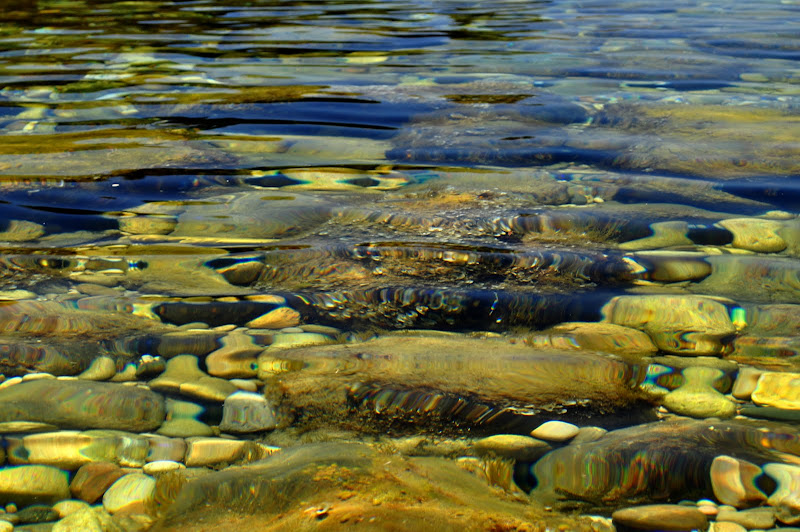 DSC_0262.JPG
