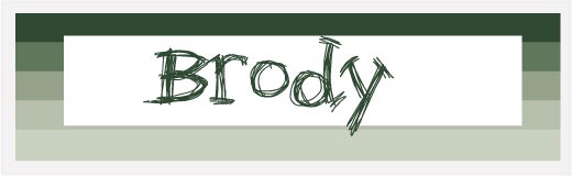 (46)brody-regular-free-handwriting-fonts-true-type-handwriting-font