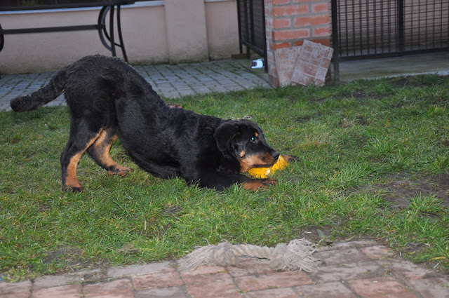 DSC_0049.JPG