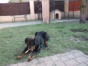 DSCF8706.JPG