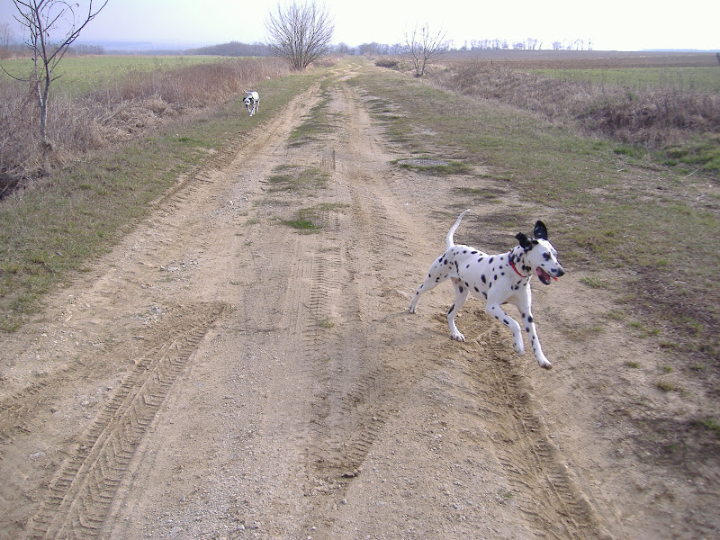 DSCF5378.JPG
