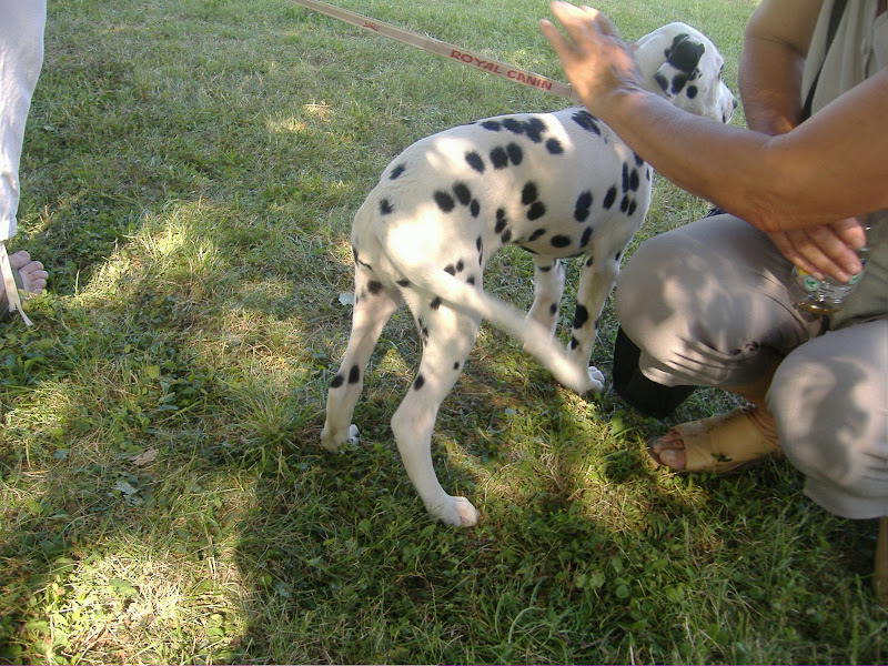 DSCF3775.JPG