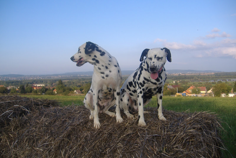 DSCF5616.JPG