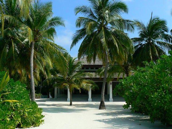 Cazare Maldive: Velassaru primii pasi pe insula.JPG