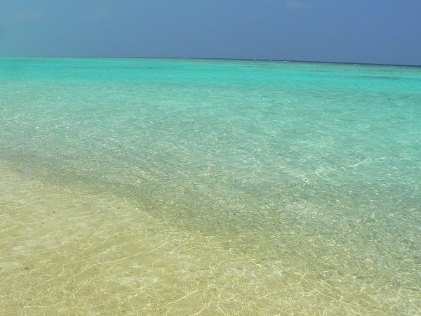 Imagini Maldive: Velassaru nisip, mare si pesti