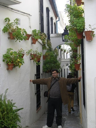 Obiective turistice Spania: Calleja de los Flores, Cordoba