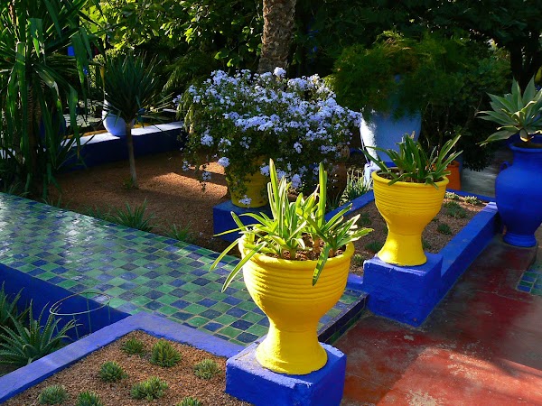 Obiective turistice Maroc: ghivece, Marrakech