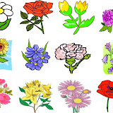 loto flores-.jpg