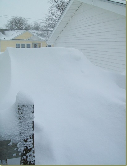 BLIZZARD '09 011