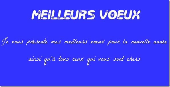 Meilleurs Voeux pour Blog