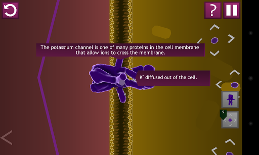 免費下載教育APP|Cell Membrane Potential app開箱文|APP開箱王