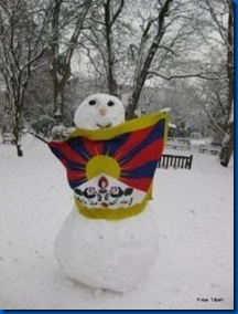 tibet nevado