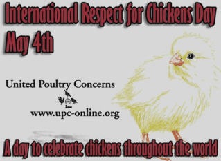 [chickens respect[3].jpg]