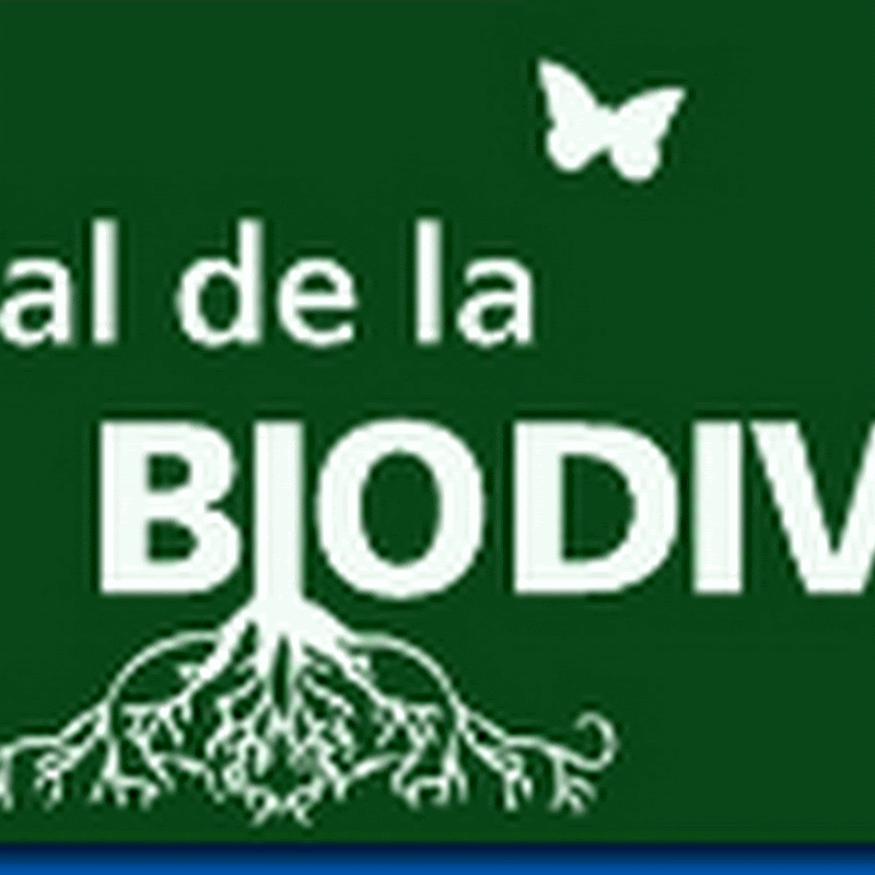 Ex-Día Internacional de la Diversidad Biológica