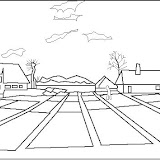 campo de tullipanes.jpg