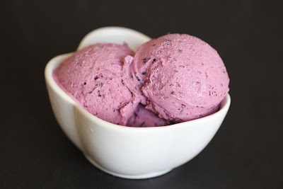 photo of a bowl of blueberry ice cream