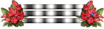 Barri1_XXc.gif