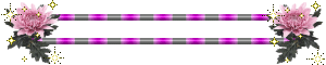 Bar4c.gif