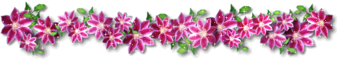 animaton8ub2br5.gif