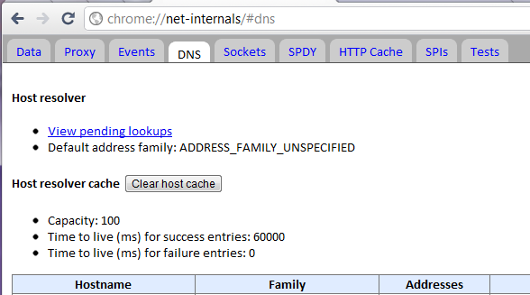 Chrome network manage DNS