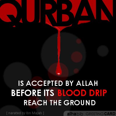 Qurban is accepted before its blood drips reach the ground. Eid ul Adha Greeting Card by Alhabib.