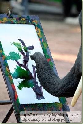 Elephants creativity paintings (3)