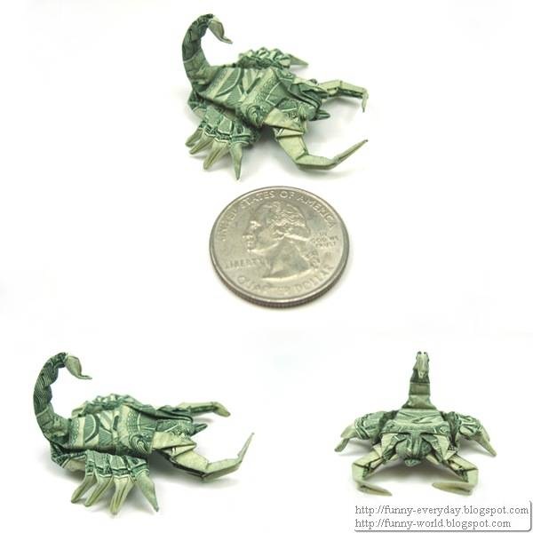New_pics__Dollar_Scorpion_by_orudorumagi11_thumb