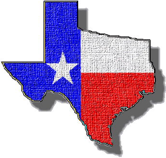 [texas-election-results[7].gif]